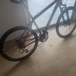 Raleigh Medium Bike