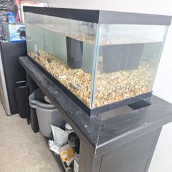 Tank + Stand