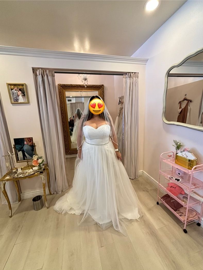 Brands New David’s Bridal Wedding Dress