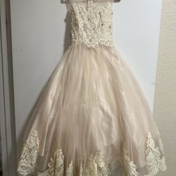 Flower Girl Fancy Dress 