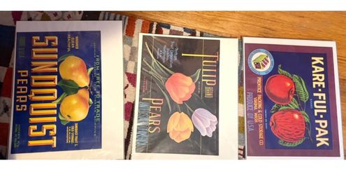 These are original period magazine pages- beautiful colors - can ship