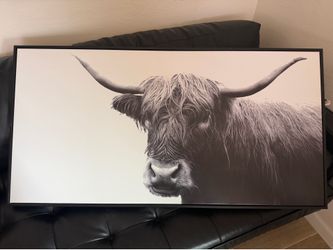 Cow wall art