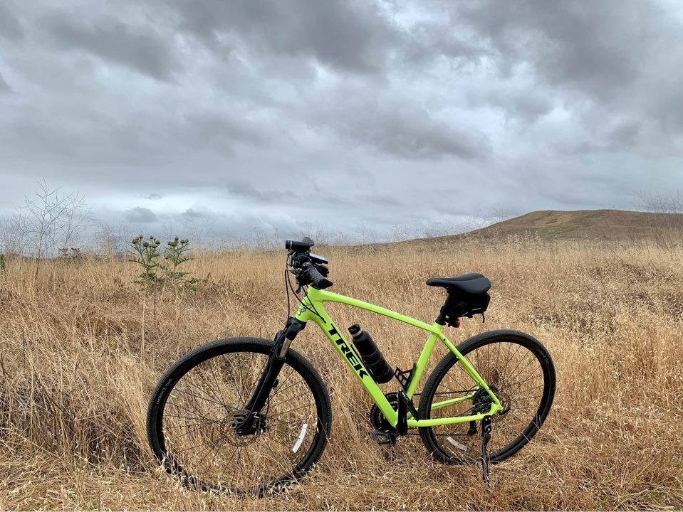 Trek dual sport best sale 3 2019 hybrid bike