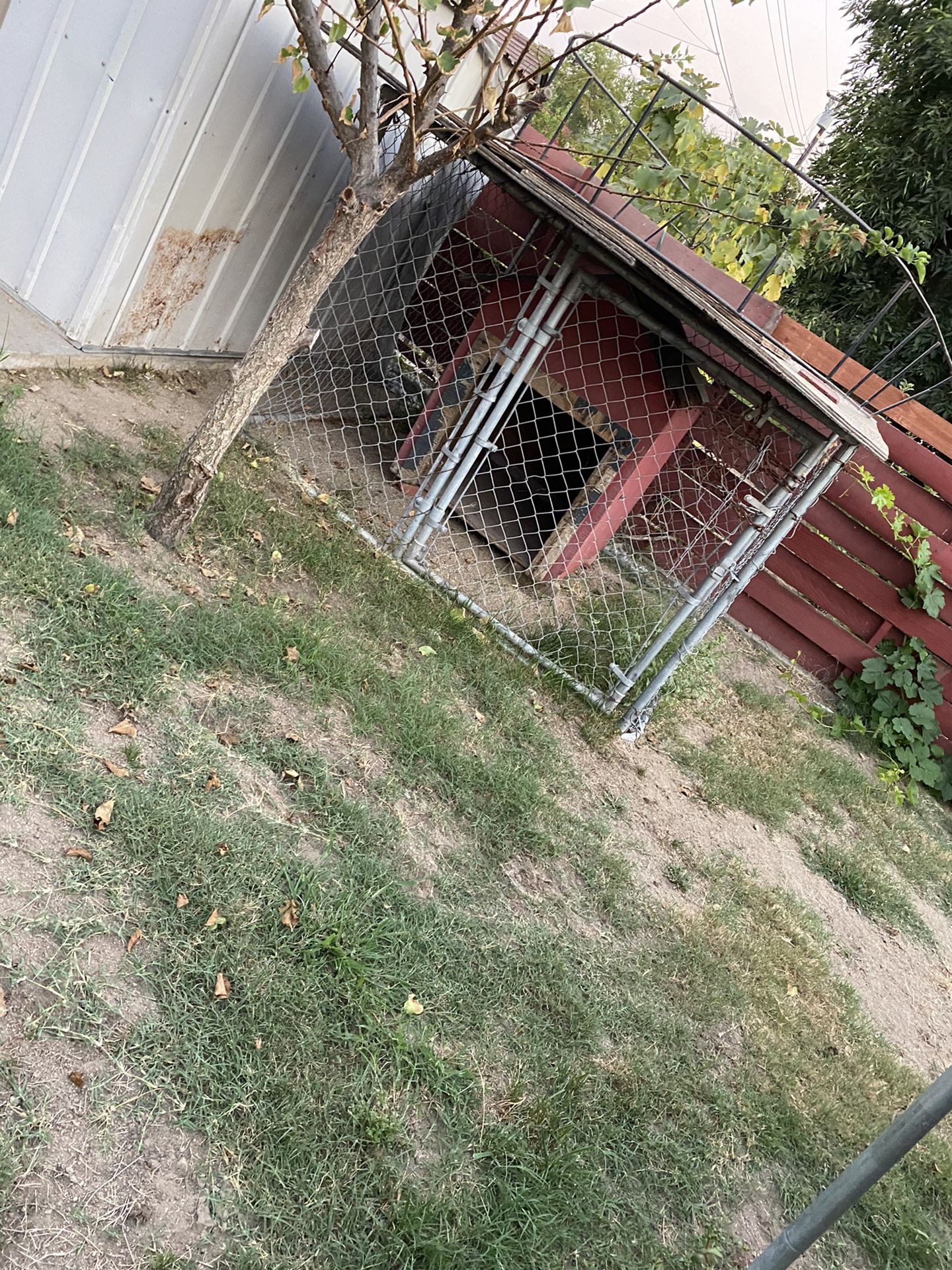 Dog Cage/Kennel