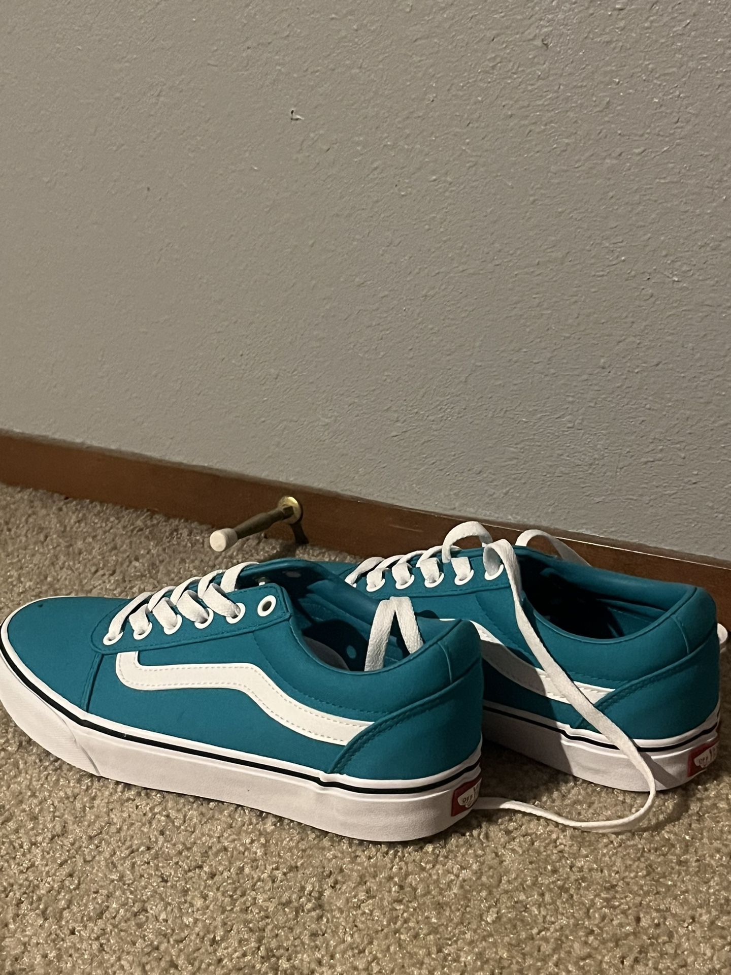 Blue Brand New Vans