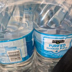 1 Gallon Water
