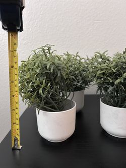 Artificial Decorative Plants