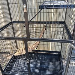 Cage For Sale  $50
