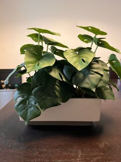 Set of 3 Faux Plants
