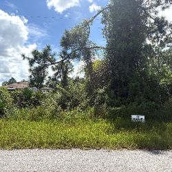 1/4 Acre Lot