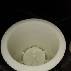 4" Planting Pots Total Of 6