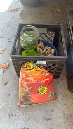 Reptile aquarium supplies