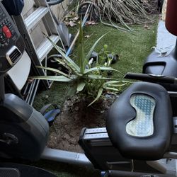 Bicicleta Para Hacer Ejercicio 