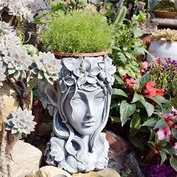 Home Garden
