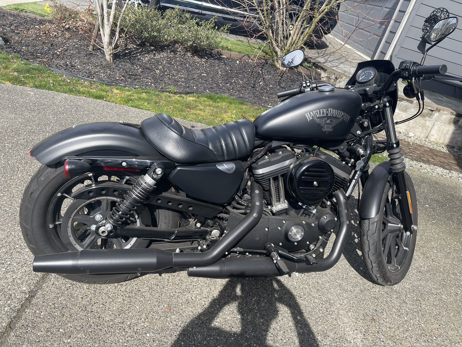 2016 Harley Davidson XL883