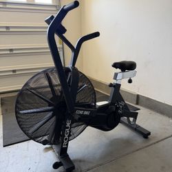 Rogue Fitness Echo bike