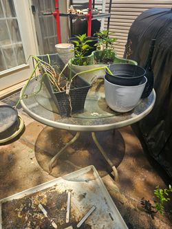 Garden and patio things