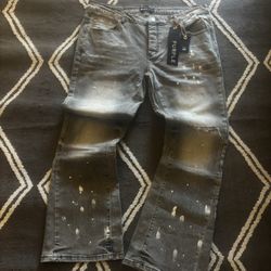 Grey Flared Purple Jeans 