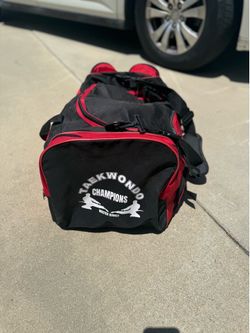 Kid taekwondo sparring gear