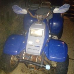 94 POLARIS.   300-2x4...(TRADE FOR... STREET BIKE PROJECT)