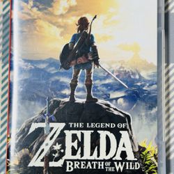 Zelda Nintendo Switch Game With Case Tested 