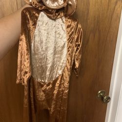 Baby monkey costume