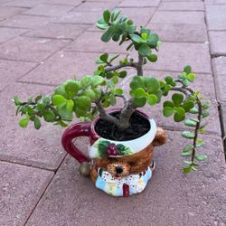 3D Ceramic Pot Bonsai Elephant Bush Succulent Plant Flower Tree Bear Cup Potter Home Patio Yard Garden  