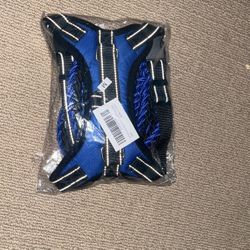 Medium Black/Blue Dog Leash And Harness Set 