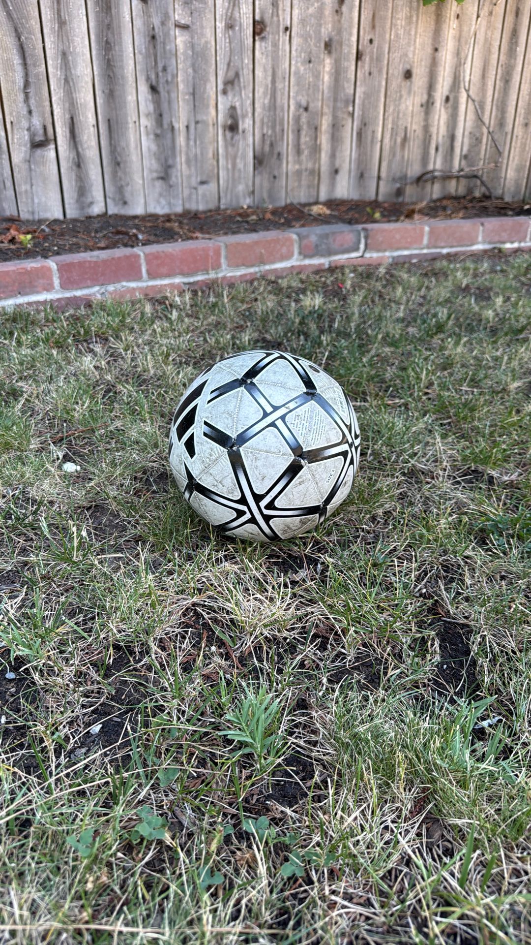 Soccer Balls