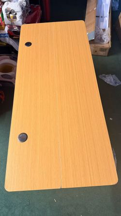 55" Electric Standing Desk 