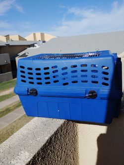 For sale nice popu or cat case