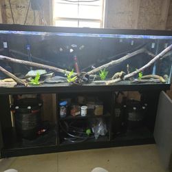 125 Gallon Aquarium With Stand, Top And Filters
