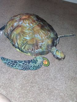 Bass Pro Turtle Pillow