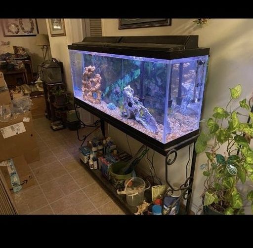 Fish Tank 55' Gallon With Metal Stand