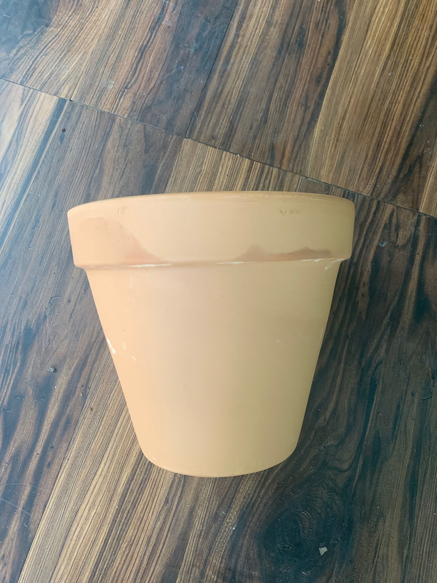 10 inch Terra Cotta flower pot