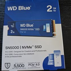 Western Digital 2TB WD Blue SN5000 NVMe SSD 5,500MB/s 