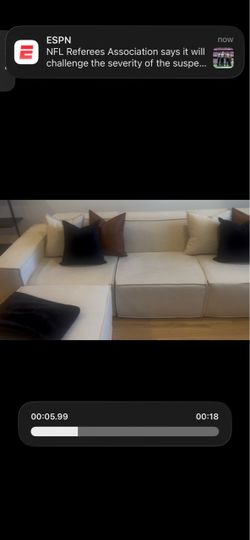 Rove lab couch