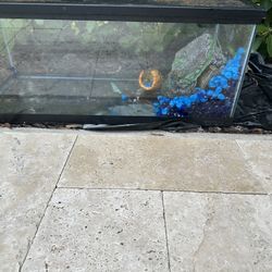 Tank For Turtle Or Fish