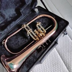 Trade My Wind Instruments For CONGA Drum