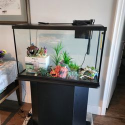 New 30 Gallon Fish Tank With All Accessories, Filters, Led Lights, Water Treatments With Stand, Everything You Need Just Need Fish!