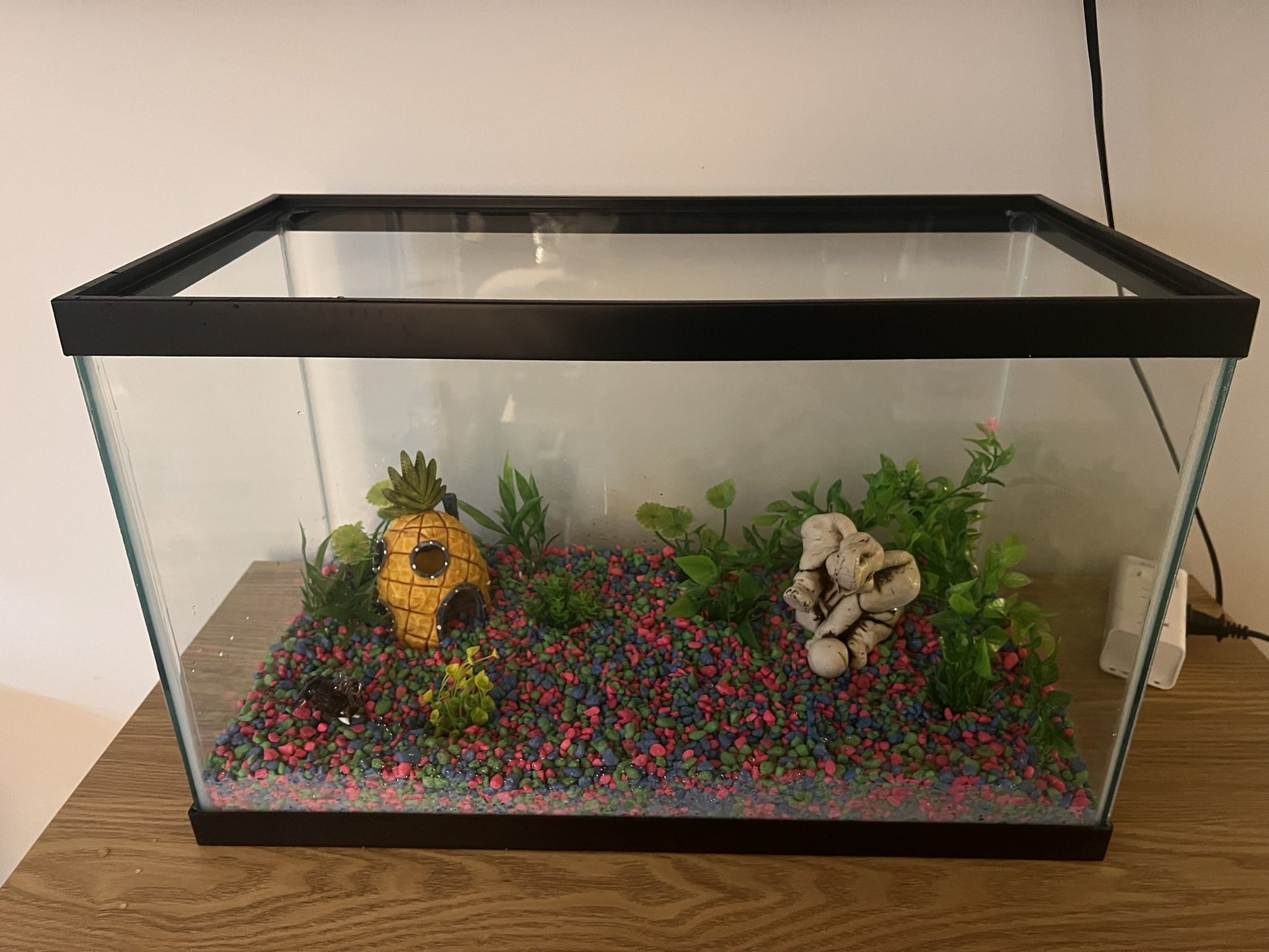 New Aqueon Aquarium Set - everything you need!