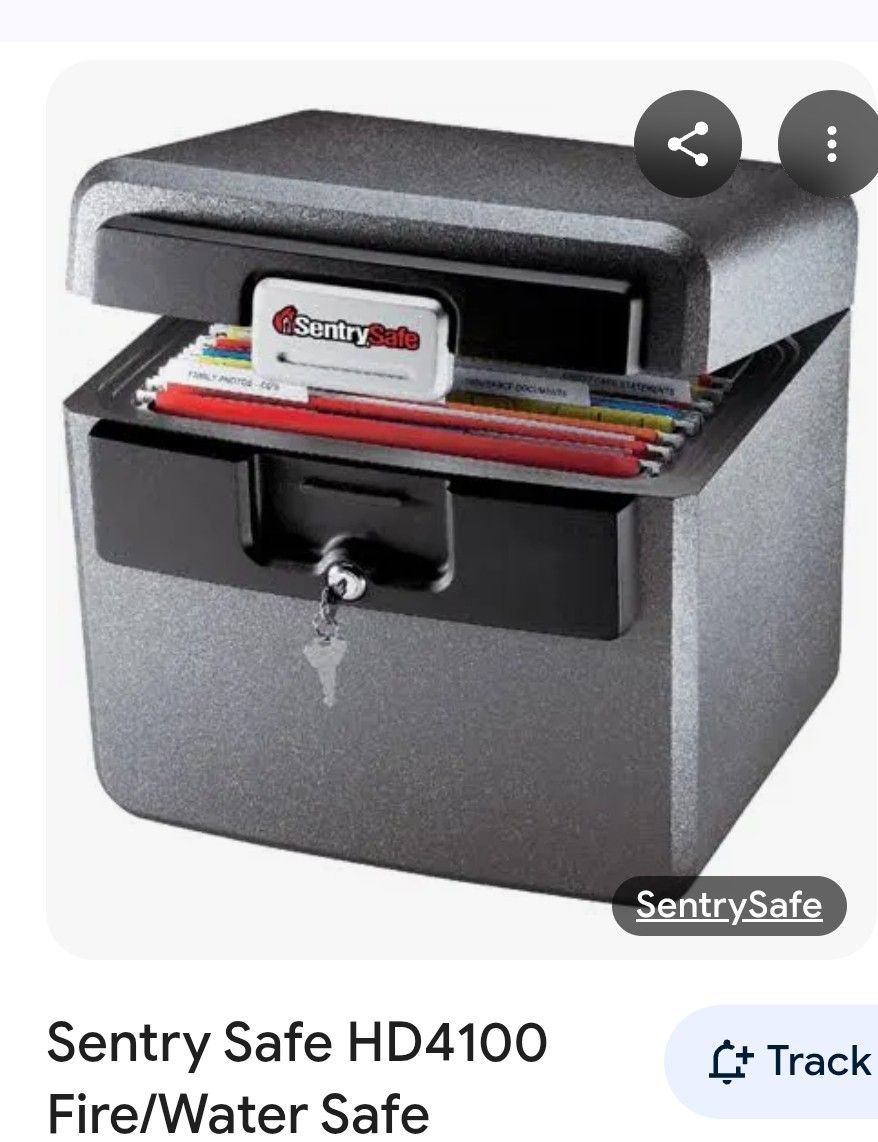 Sentry Safe
