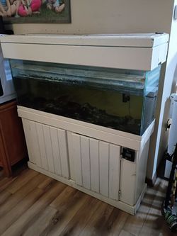55 gallon fish tank and stand