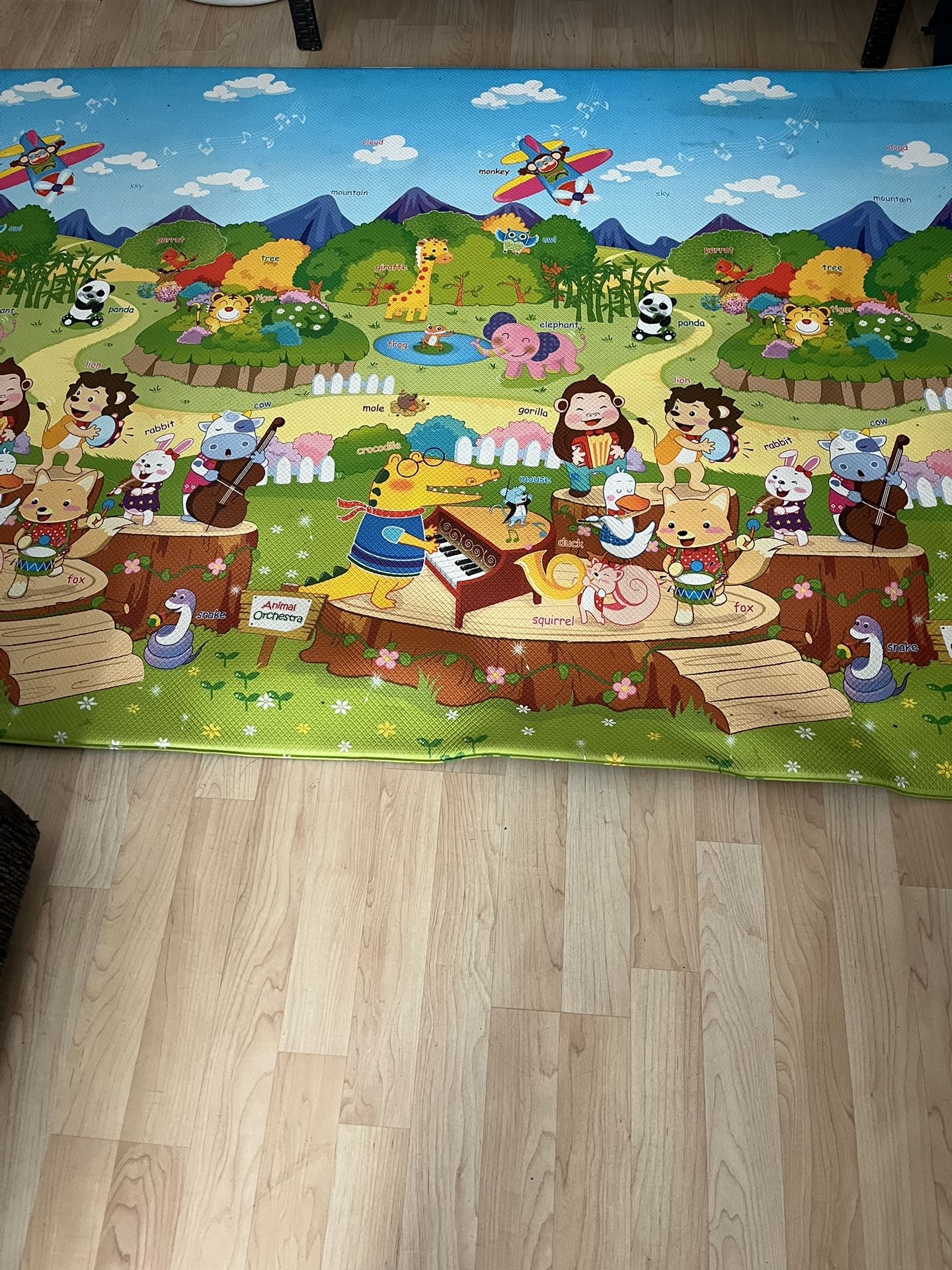 Dwingiler Animal Orchestra