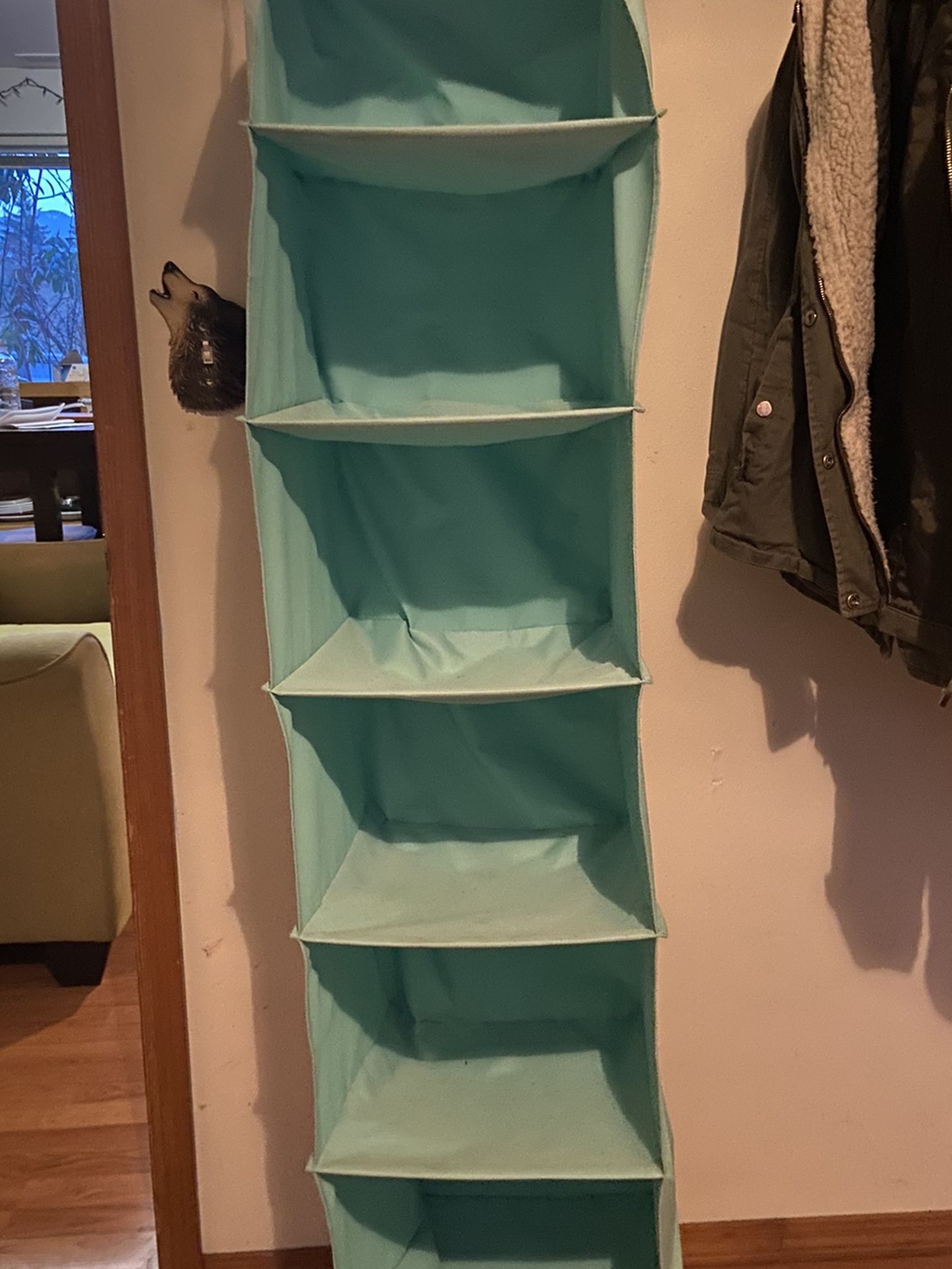 Blue Closet Organizer
