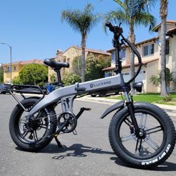 Folding Electric Bike With BAFANG MOTOR