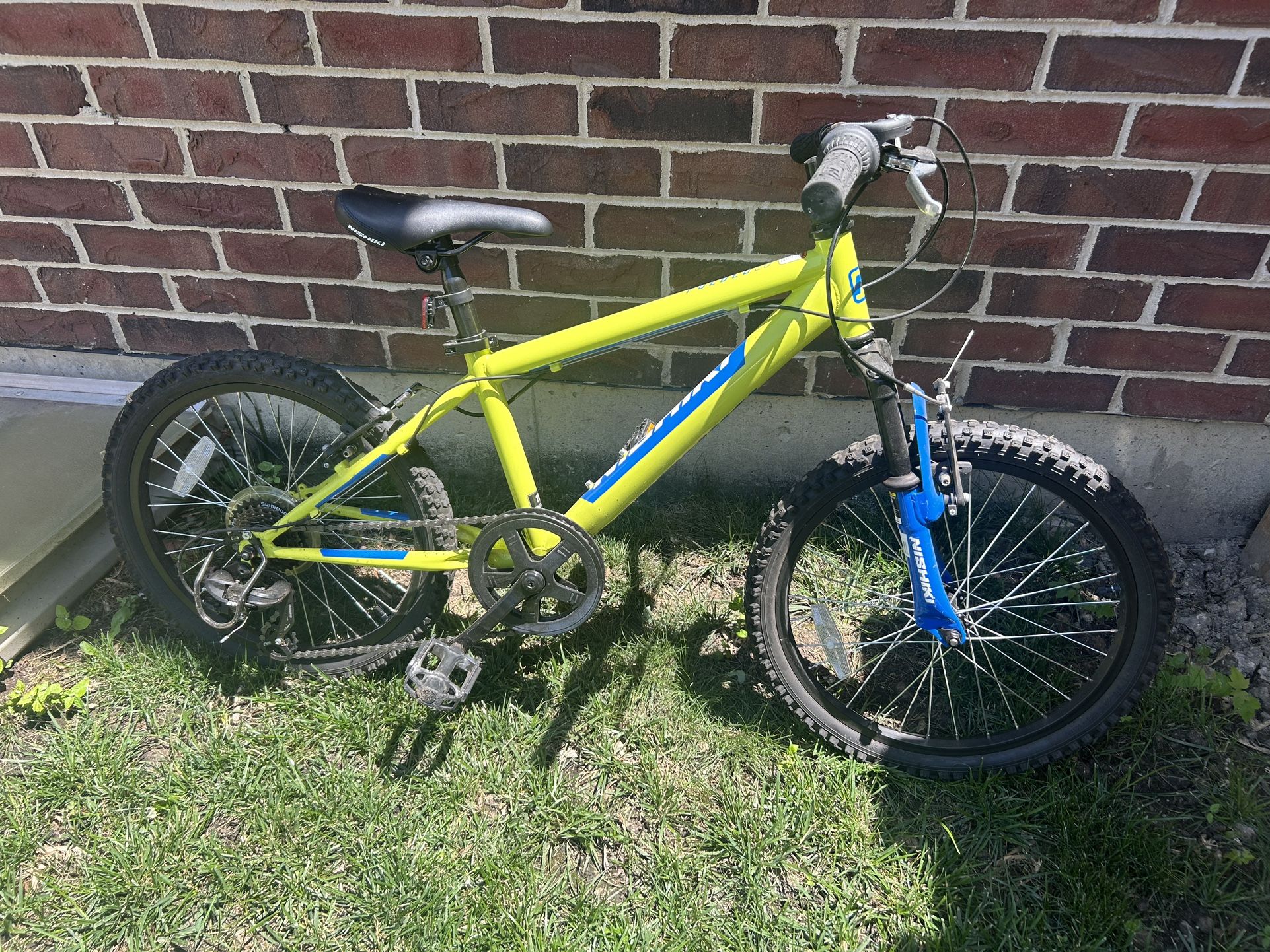 Boys 20" Bike