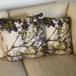 Decorative Pillows