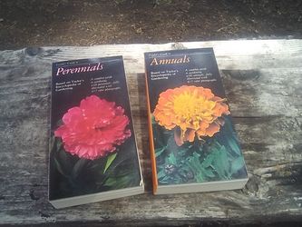 Annuals And Perennials