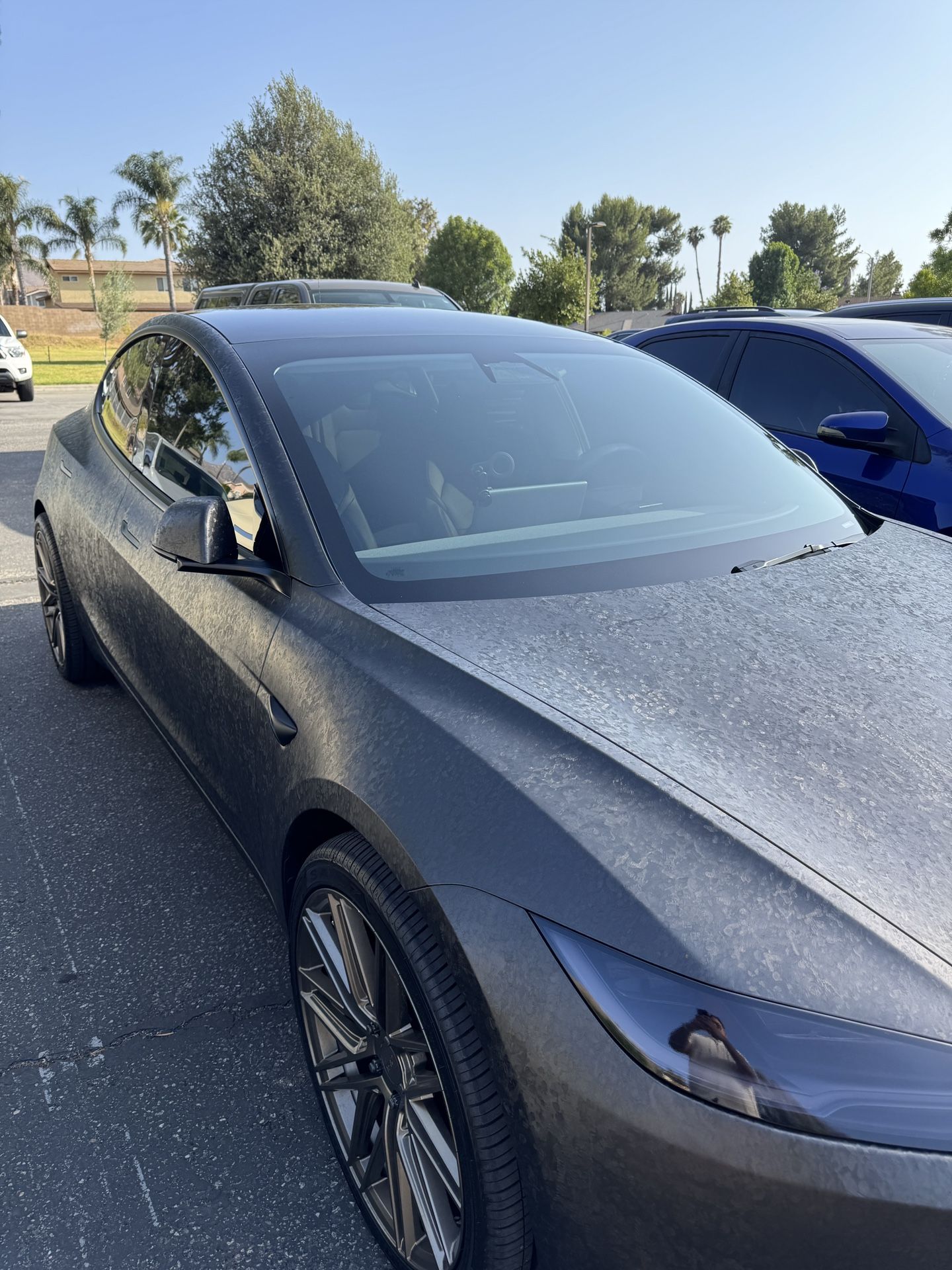 Window Protection Film